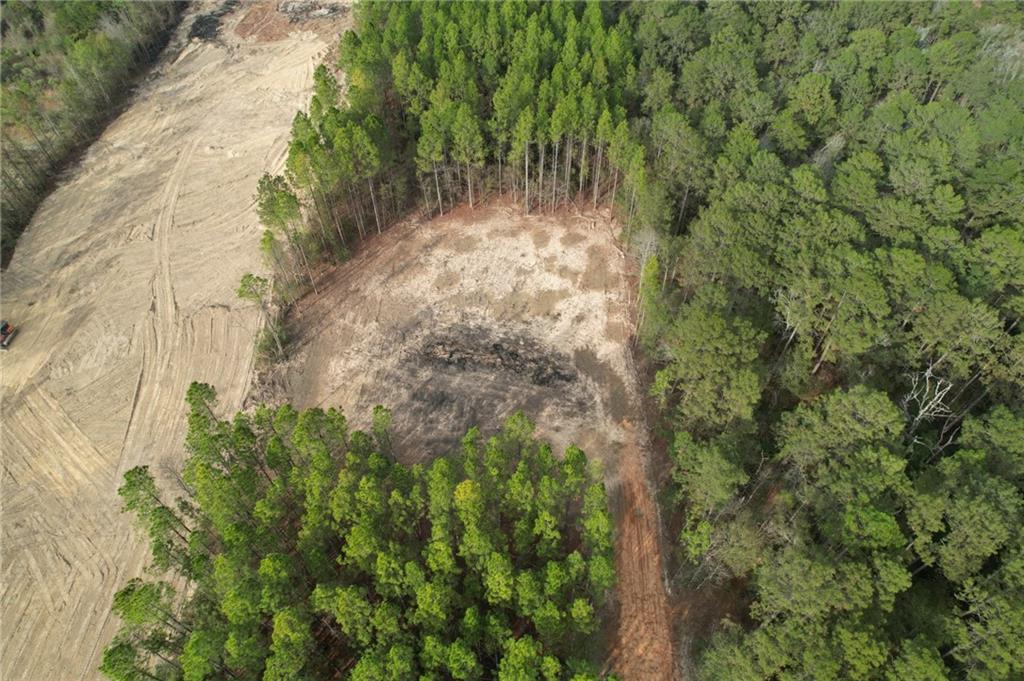 0 Ashmore Road Glenmora, LA 71433 - Photo 3 of 11