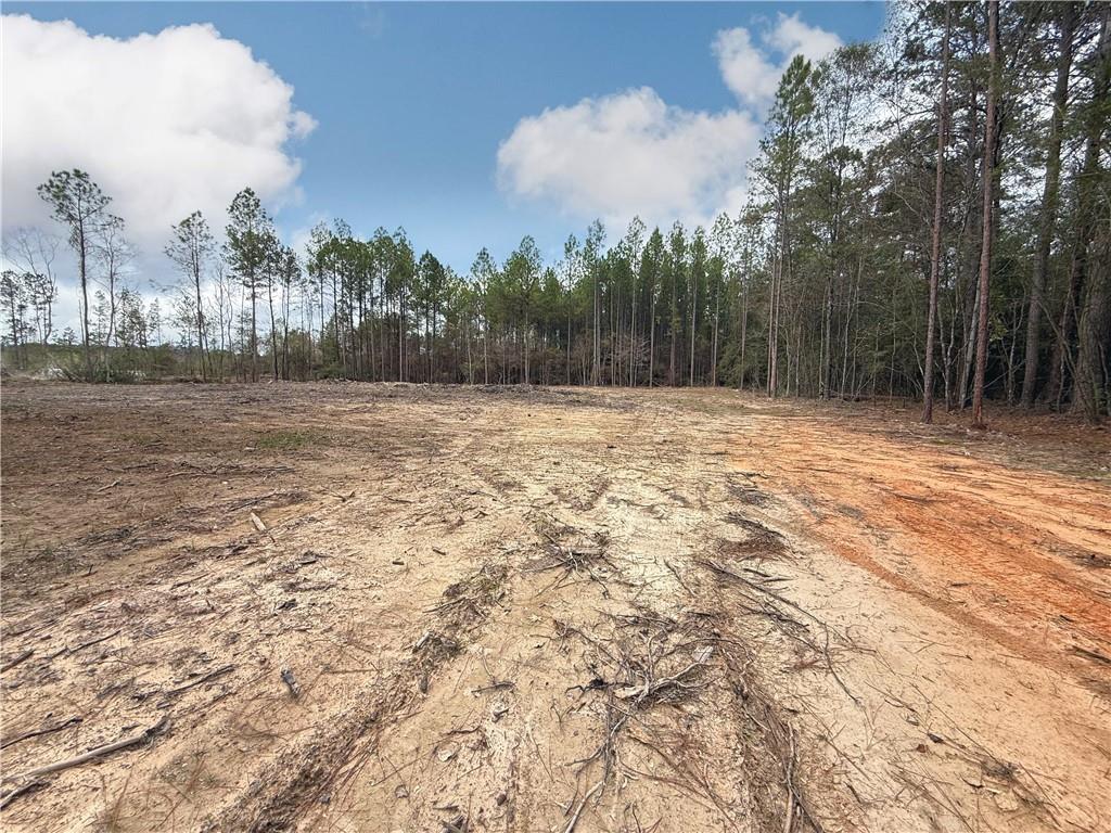 0 Ashmore Road Glenmora, LA 71433 - Photo 4 of 11