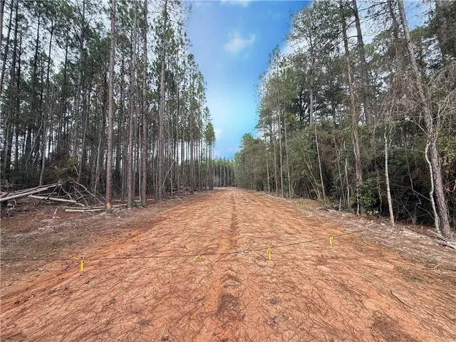 $160,000 | 0 Ashmore Road, Glenmora, LA 71433