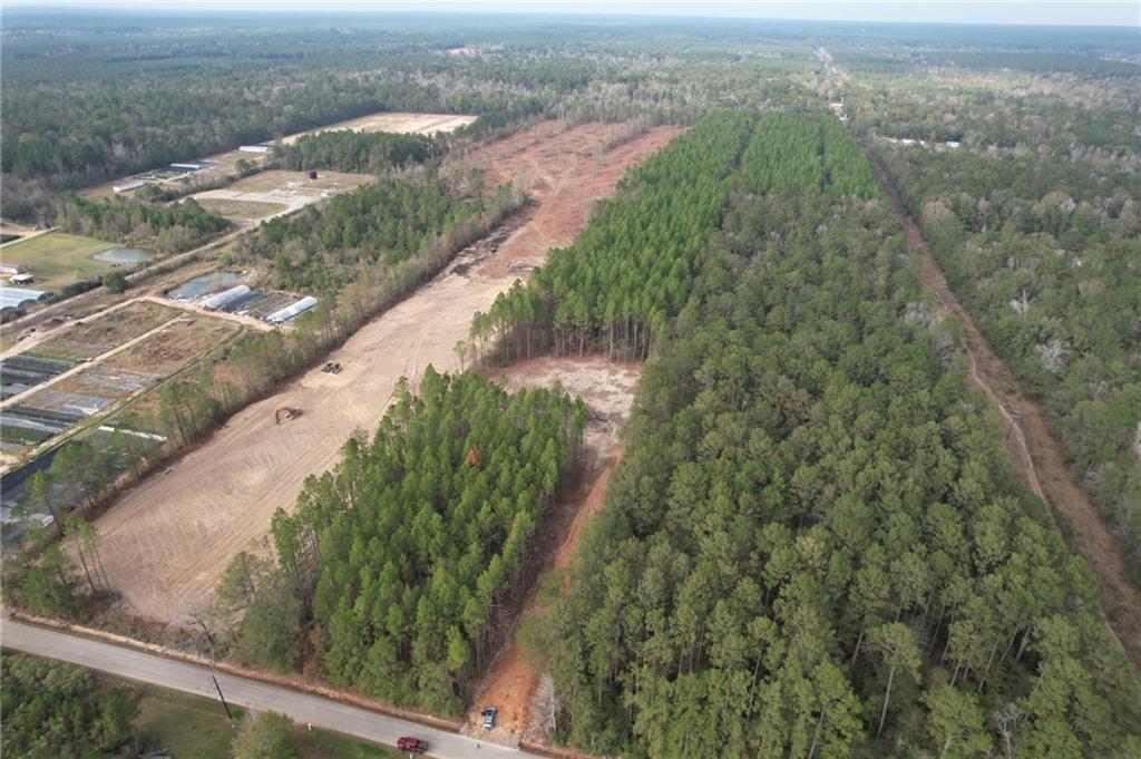 0 Ashmore Road Glenmora, LA 71433 - Photo 9 of 11