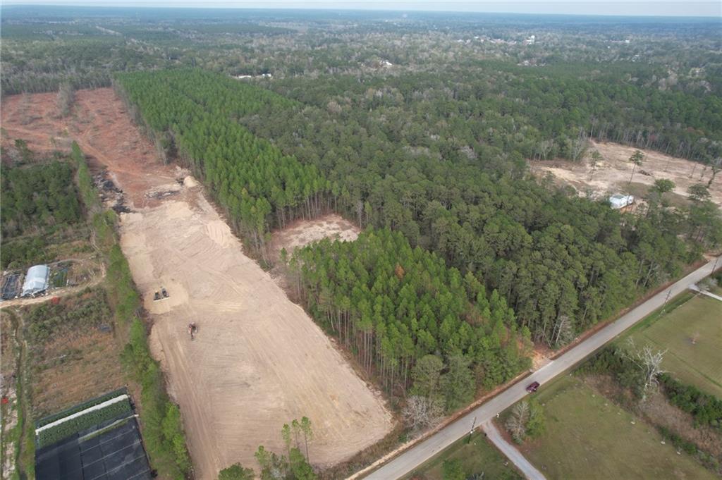 0 Ashmore Road Glenmora, LA 71433 - Photo 10 of 11