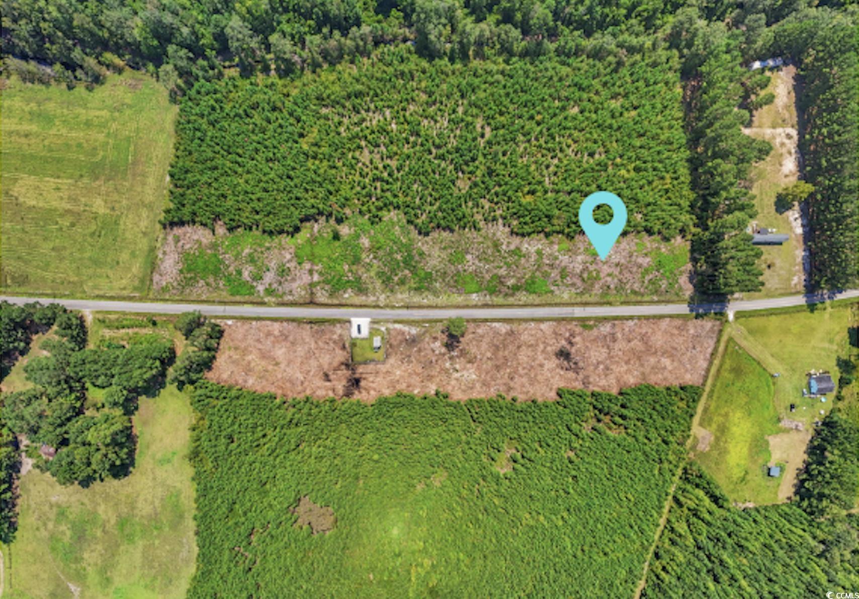 Lot 2 Black Creek Road Nichols, SC 29581 - Photo 1 of 20 Gallery Image 1