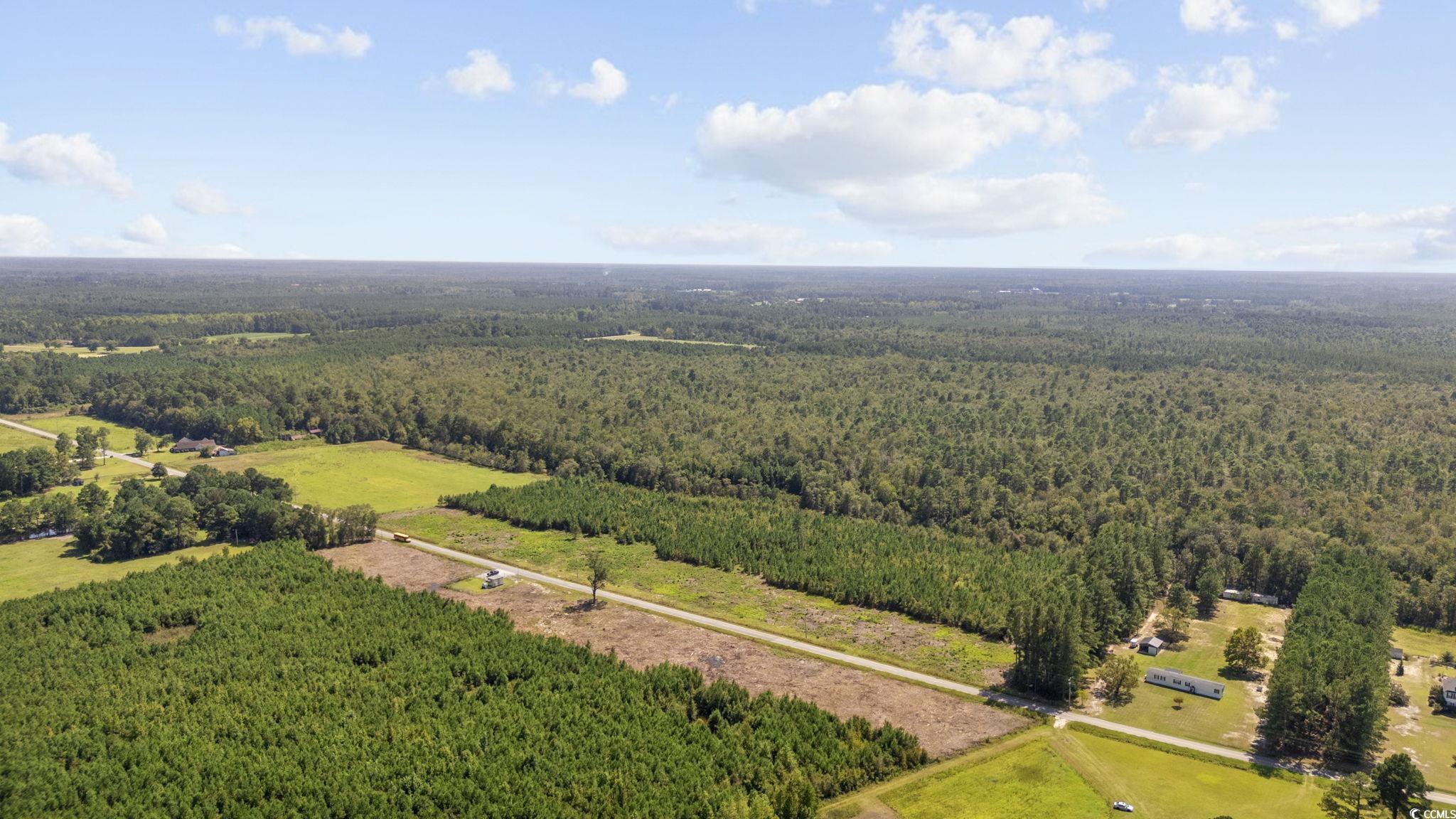 Lot 2 Black Creek Road Nichols, SC 29581 - Photo 11 of 20 Drone / aerial view