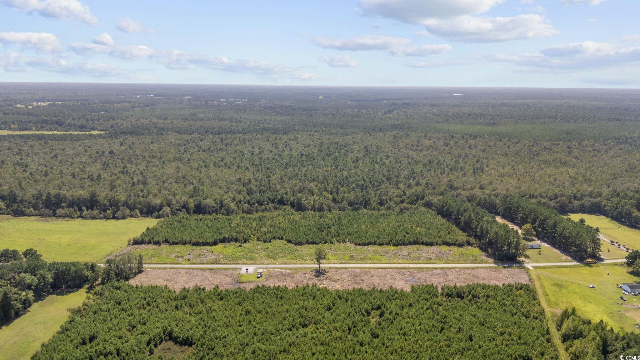Lot 2 Black Creek Road Nichols, SC 29581 - Photo 12 of 20 Bird's eye view