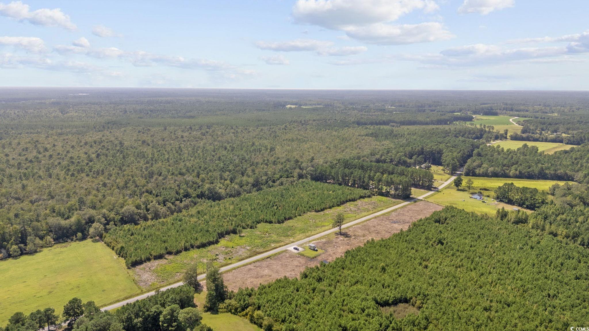 Lot 2 Black Creek Road Nichols, SC 29581 - Photo 13 of 20 Birds eye view of property