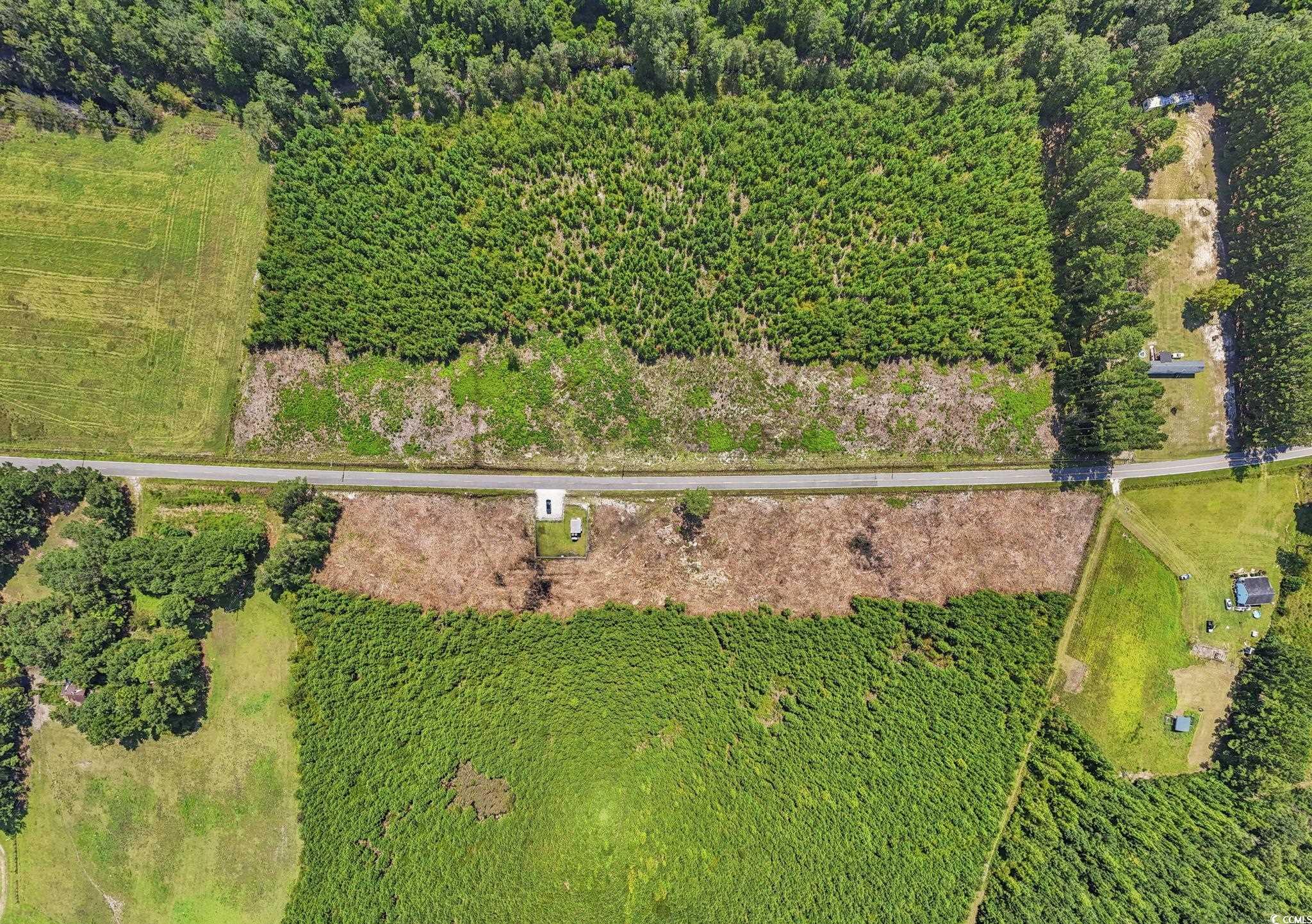 Lot 2 Black Creek Road Nichols, SC 29581 - Photo 14 of 20 Drone / aerial view with a rural view