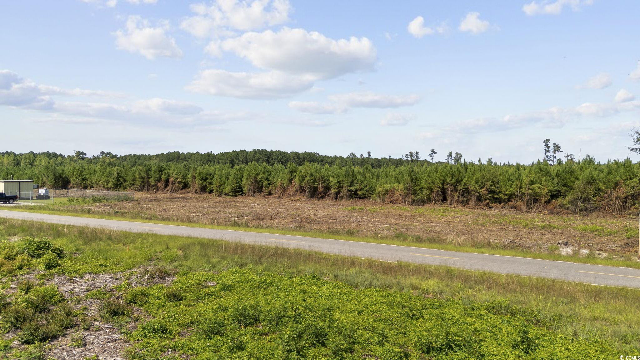 Lot 2 Black Creek Road Nichols, SC 29581 - Photo 15 of 20 View of road