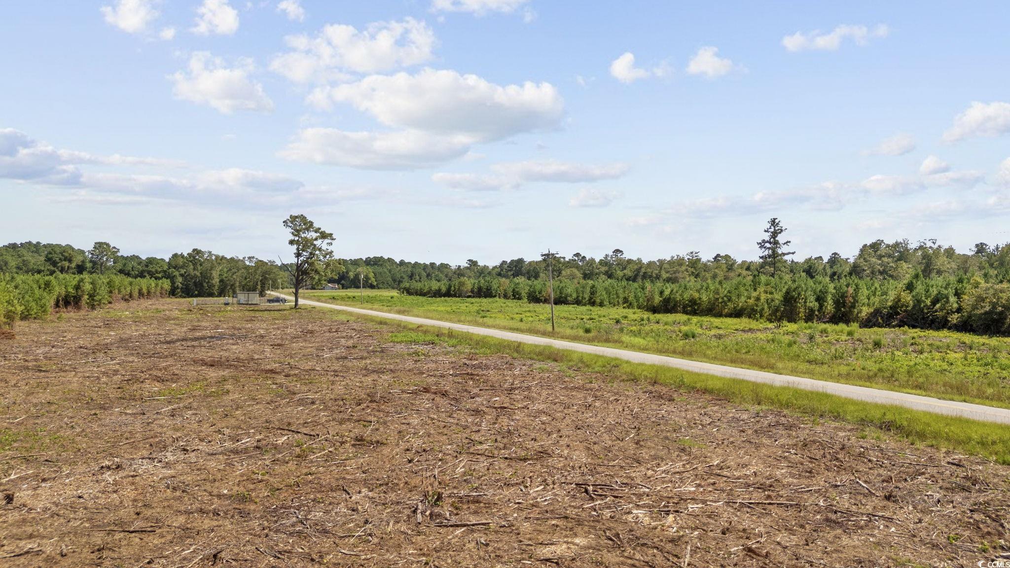Lot 2 Black Creek Road Nichols, SC 29581 - Photo 17 of 20 Exterior space featuring a rural view