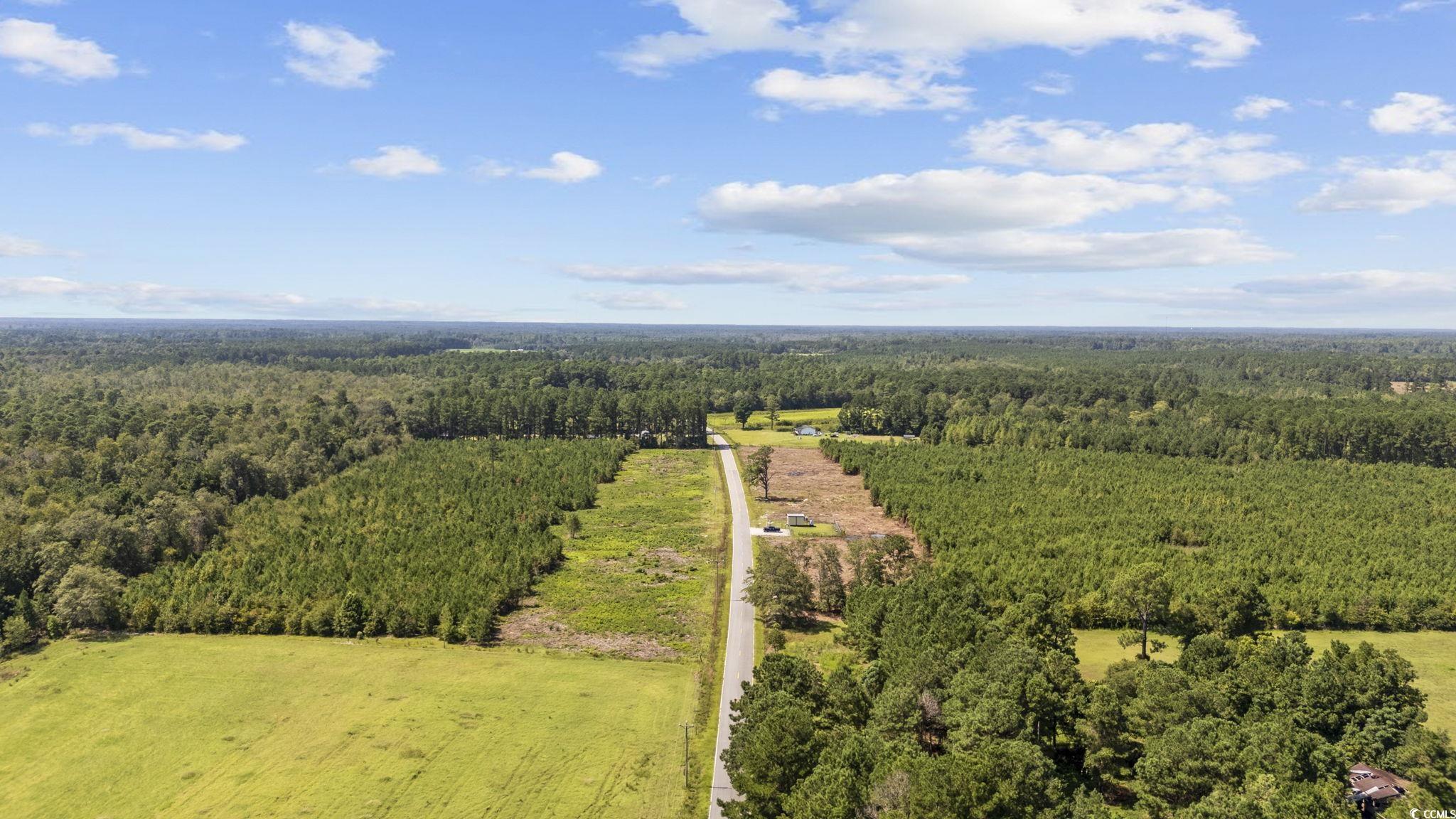 Lot 2 Black Creek Road Nichols, SC 29581 - Photo 20 of 20 Drone / aerial view