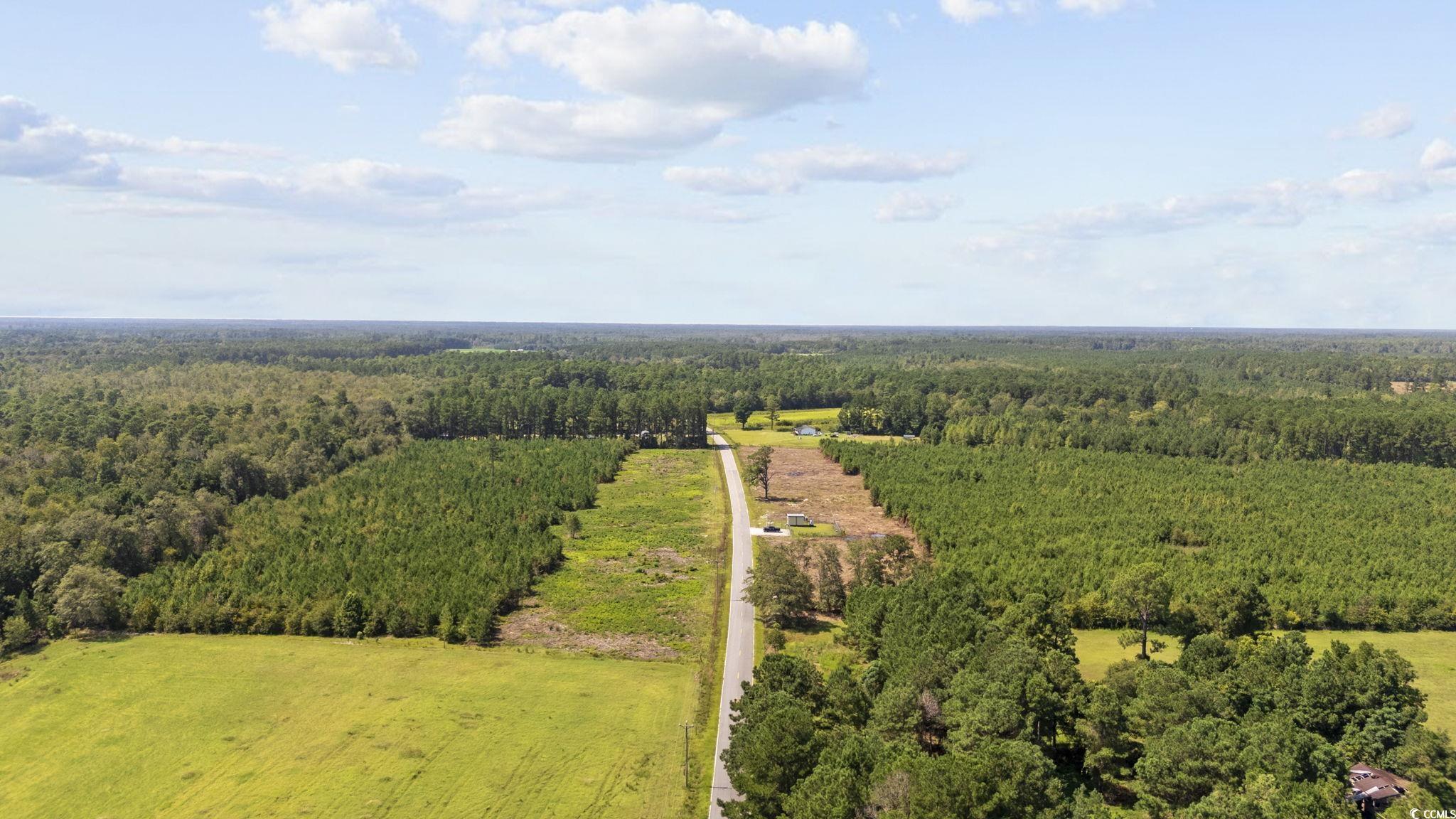Lot 2 Black Creek Road Nichols, SC 29581 - Photo 2 of 20 Drone / aerial view