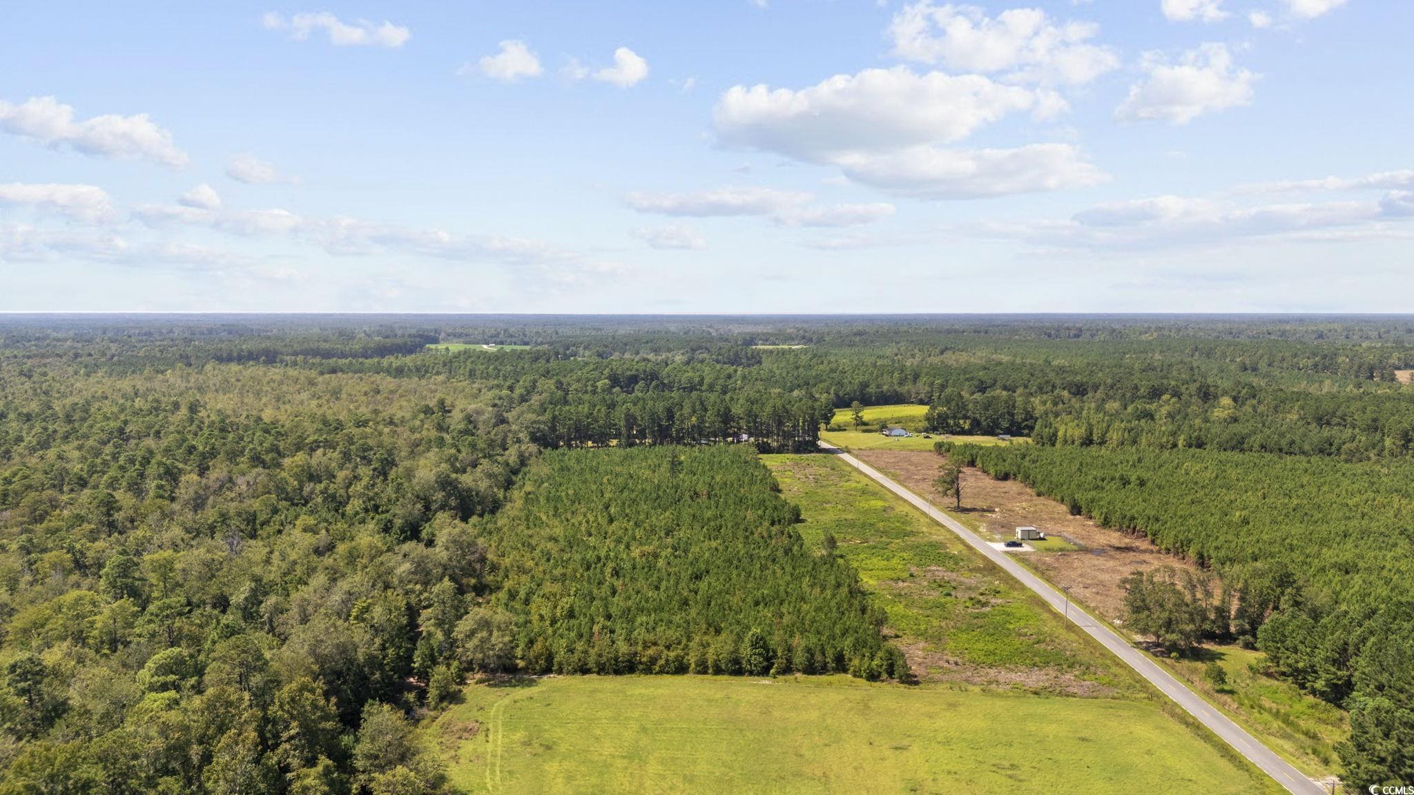 Lot 2 Black Creek Road Nichols, SC 29581 - Photo 4 of 20 Birds eye view of property