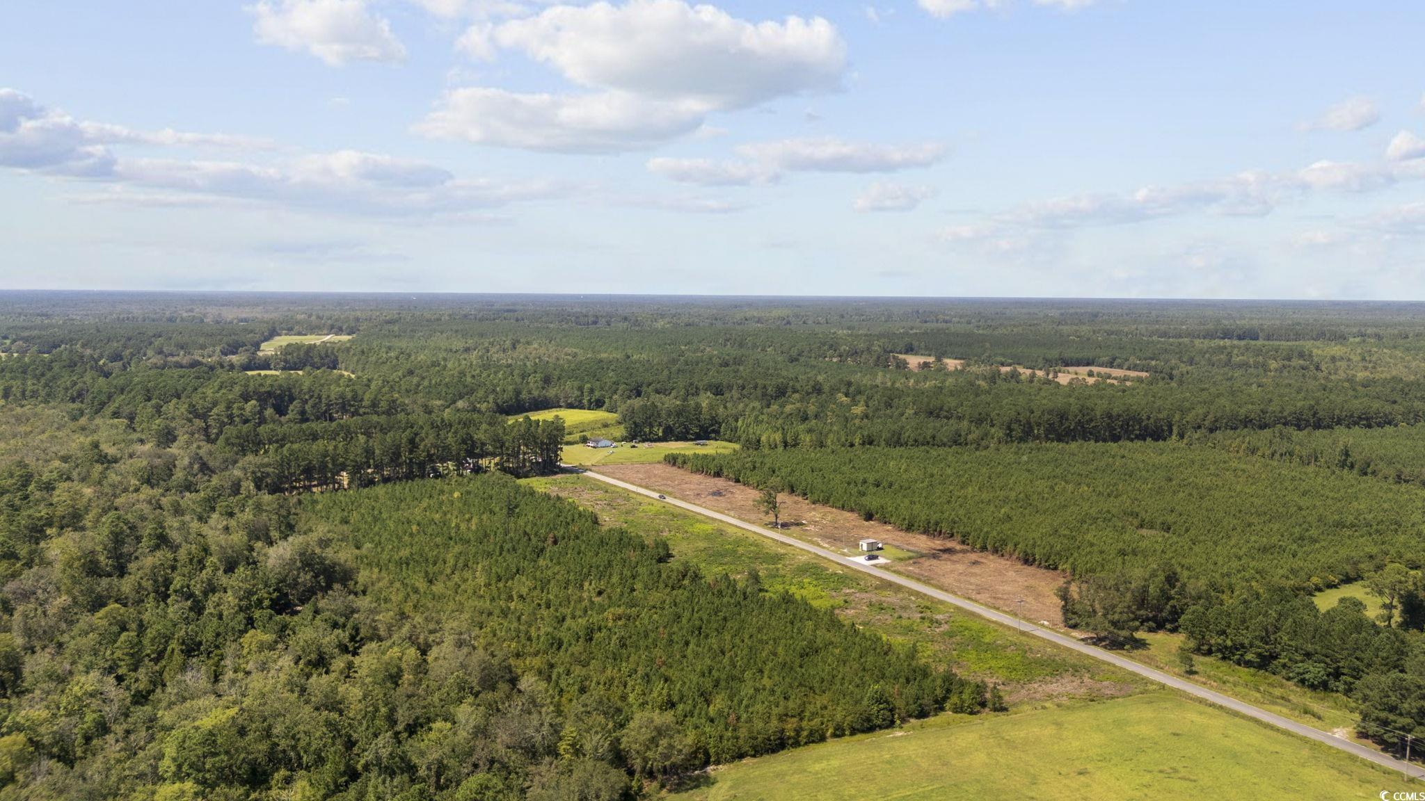 Lot 2 Black Creek Road Nichols, SC 29581 - Photo 5 of 20 Bird's eye view