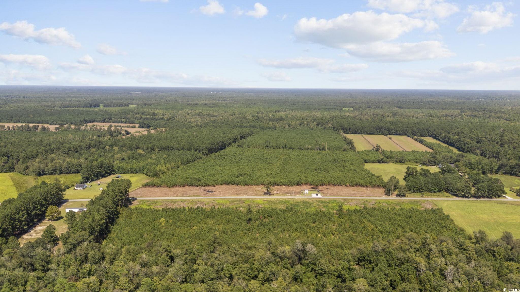 Lot 2 Black Creek Road Nichols, SC 29581 - Photo 6 of 20 Birds eye view of property
