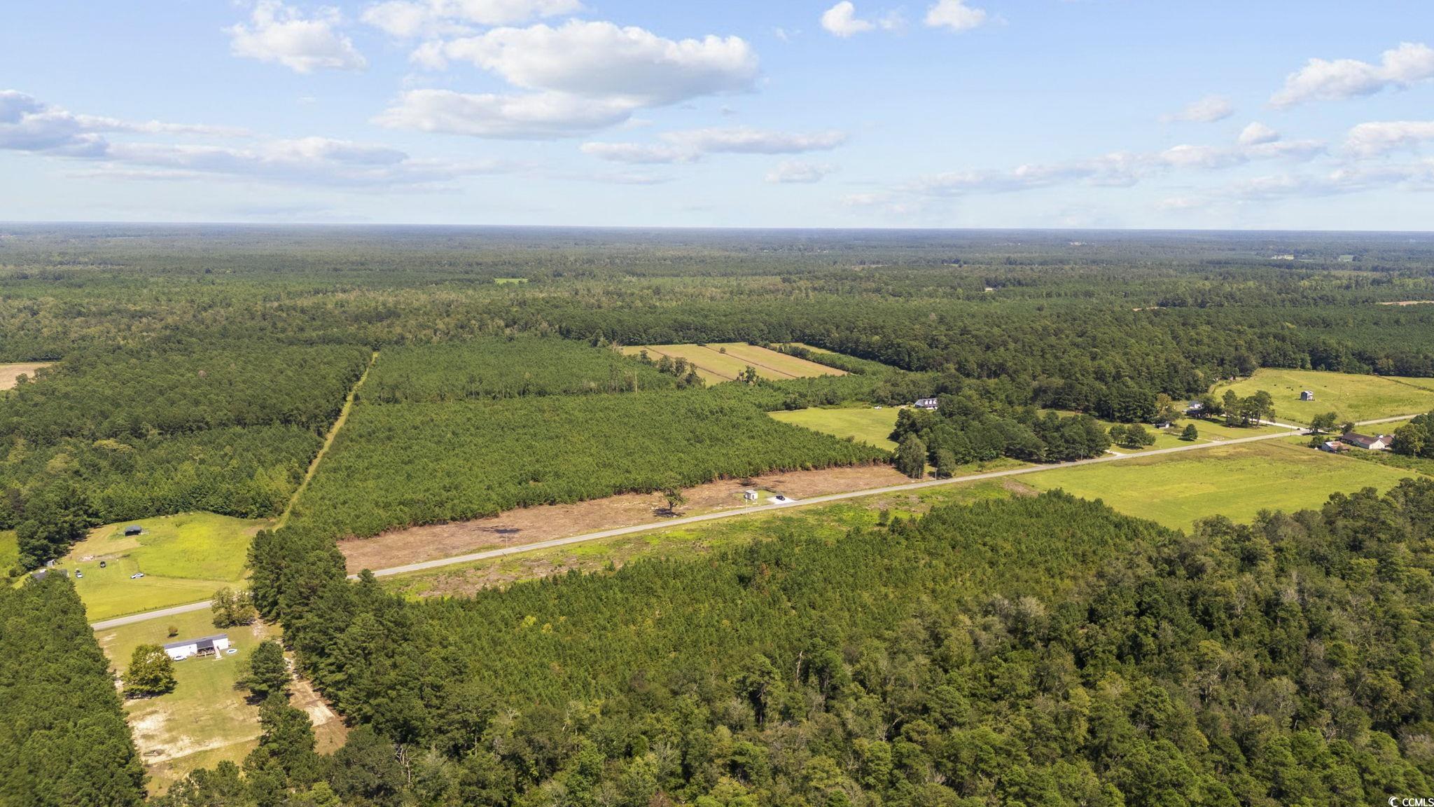 Lot 2 Black Creek Road Nichols, SC 29581 - Photo 7 of 20 Bird's eye view