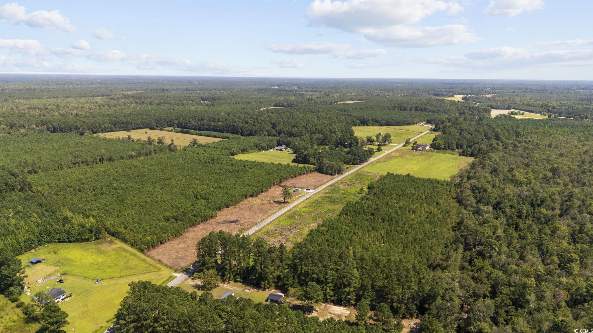 Lot 2 Black Creek Road Nichols, SC 29581 - Photo 8 of 20 Bird's eye view featuring a rural view