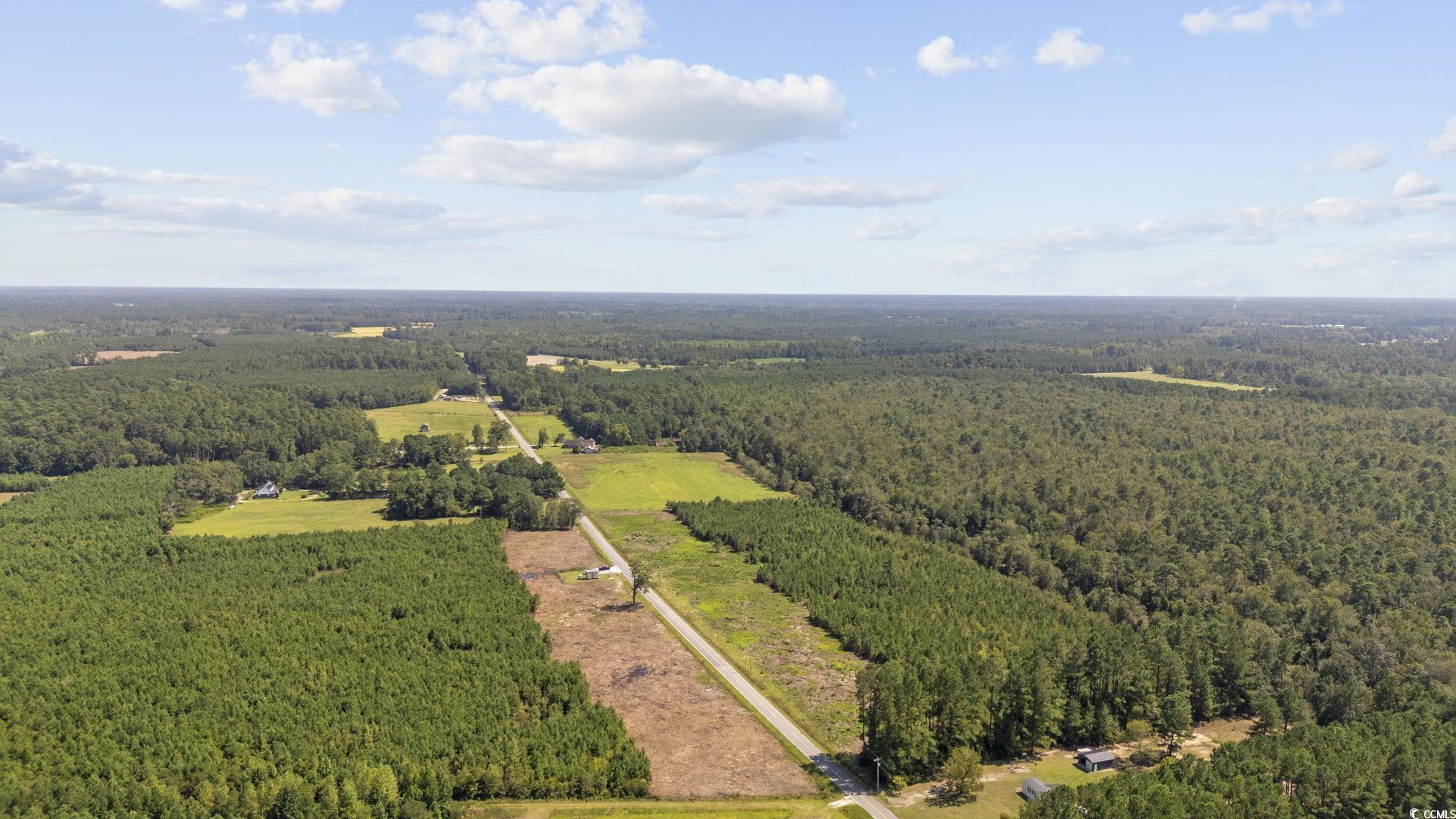 Lot 2 Black Creek Road Nichols, SC 29581 - Photo 10 of 20 Birds eye view of property