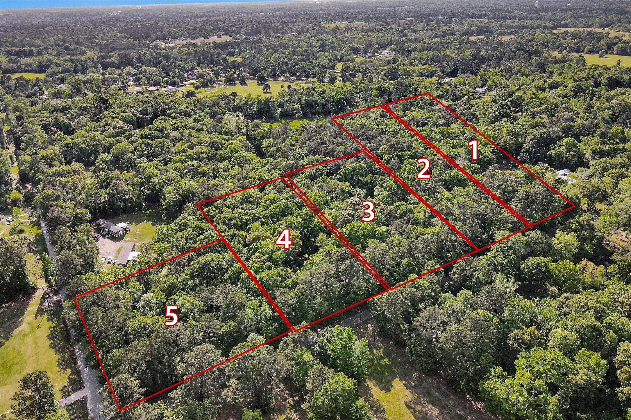 15662 Ben Wiggins Road Conroe, TX 77303 - Photo 2 of 7