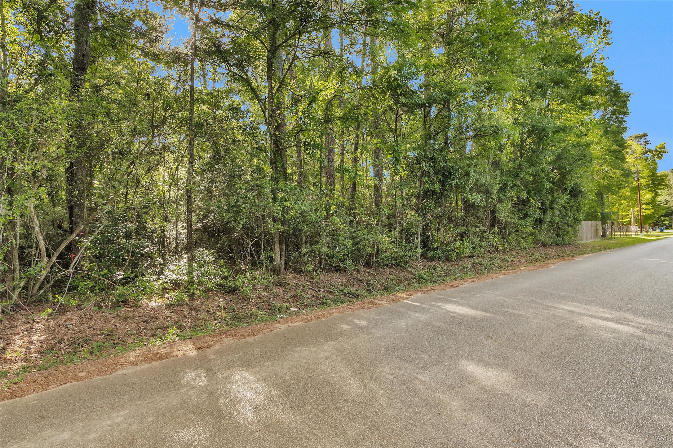 15662 Ben Wiggins Road Conroe, TX 77303 - Photo 3 of 7