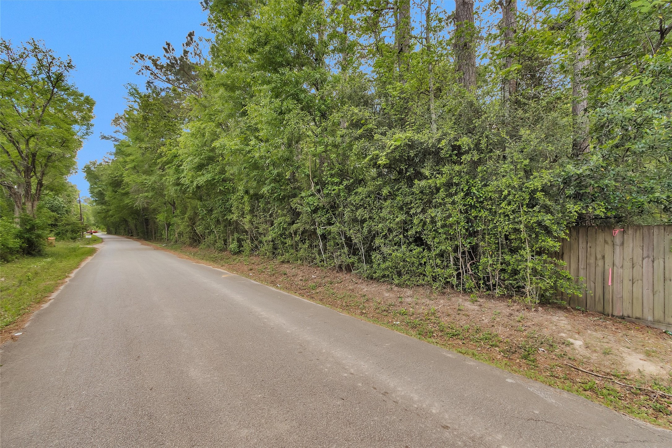 15662 Ben Wiggins Road Conroe, TX 77303 - Photo 4 of 7