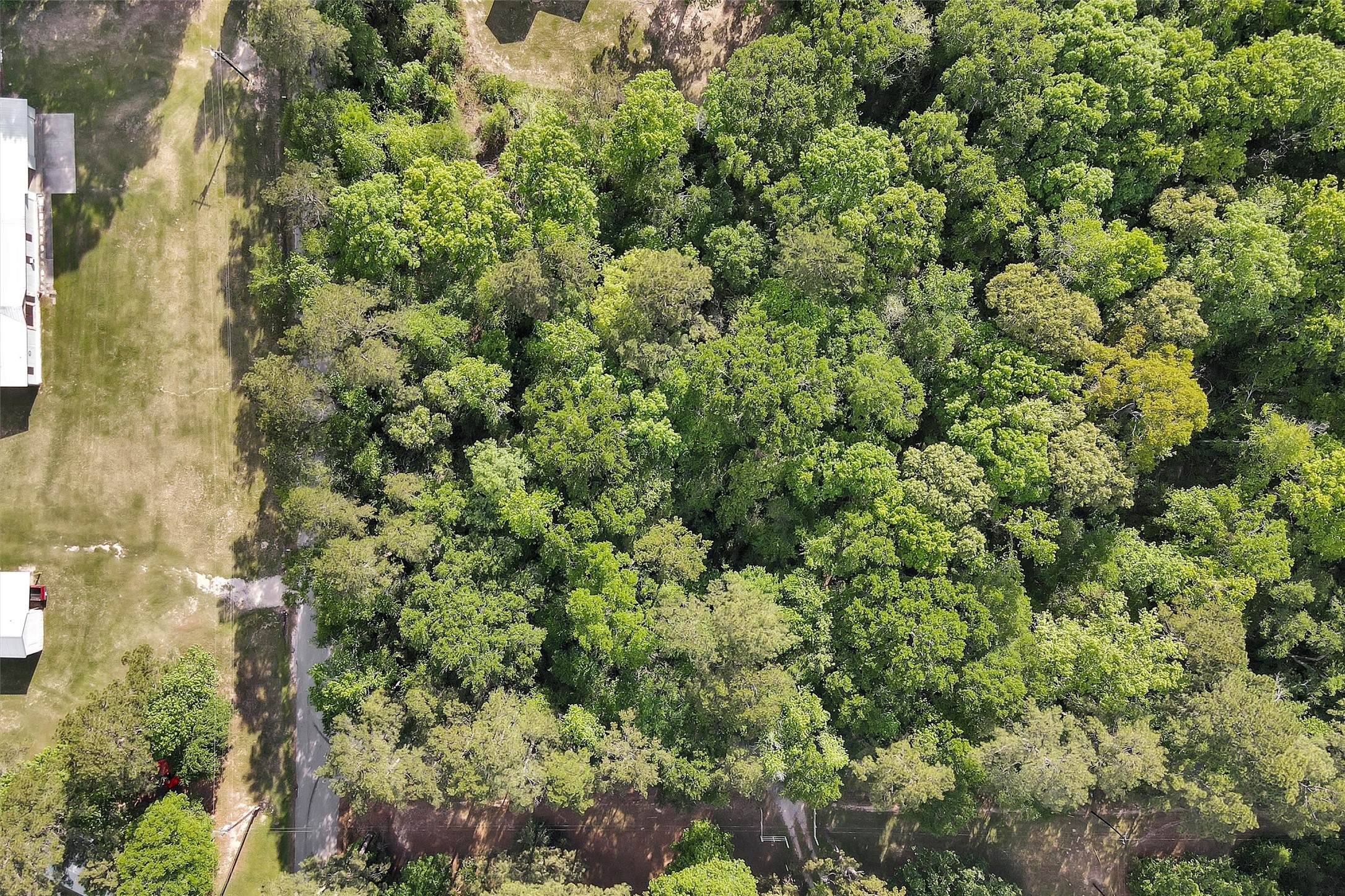 15662 Ben Wiggins Road Conroe, TX 77303 - Photo 5 of 7