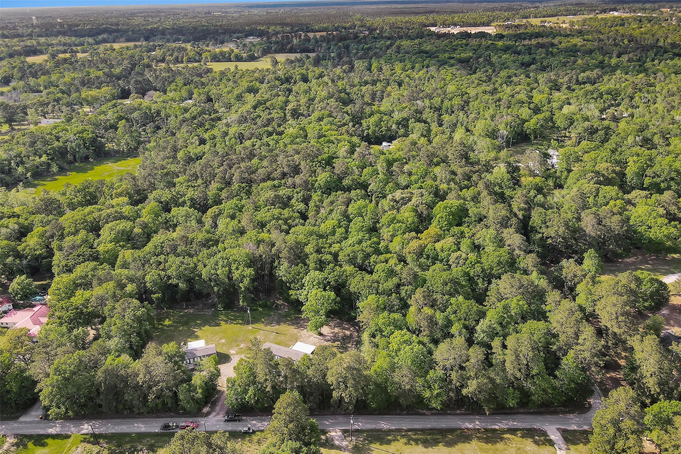 15662 Ben Wiggins Road Conroe, TX 77303 - Photo 6 of 7