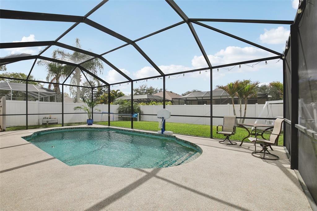 7164 Spikerush Court Lakewood Ranch, FL 34202 - Photo 2 of 36 a view of yard with swimming pool