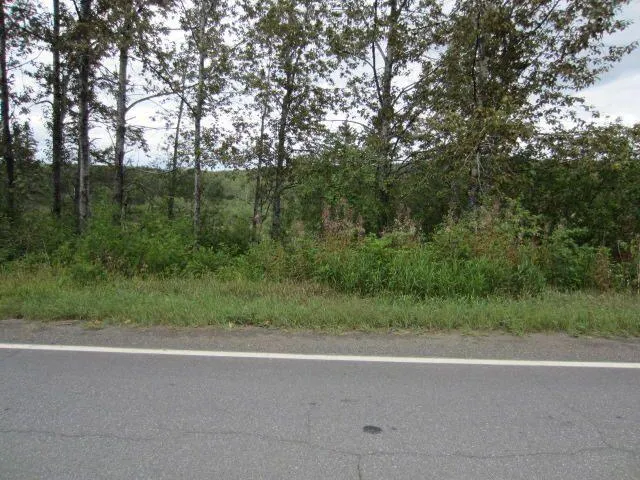 $349,000 | 0 Cleveland Road, St. Agatha, ME 04772