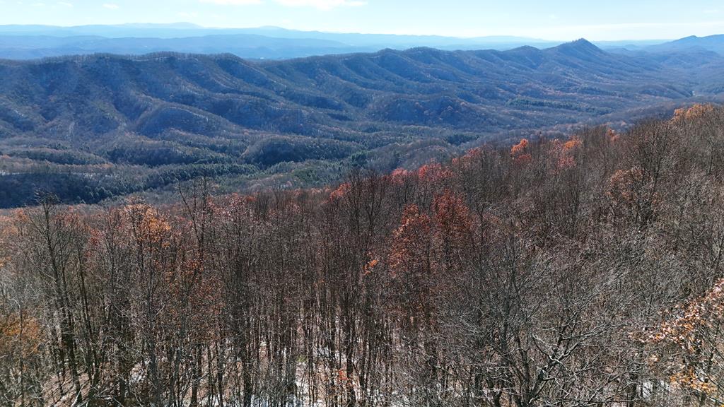 Tbd Nebo Mountain Road, Unit MULTIPLE Marion, VA 24354 - Photo 1 of 9 Gallery Image 1