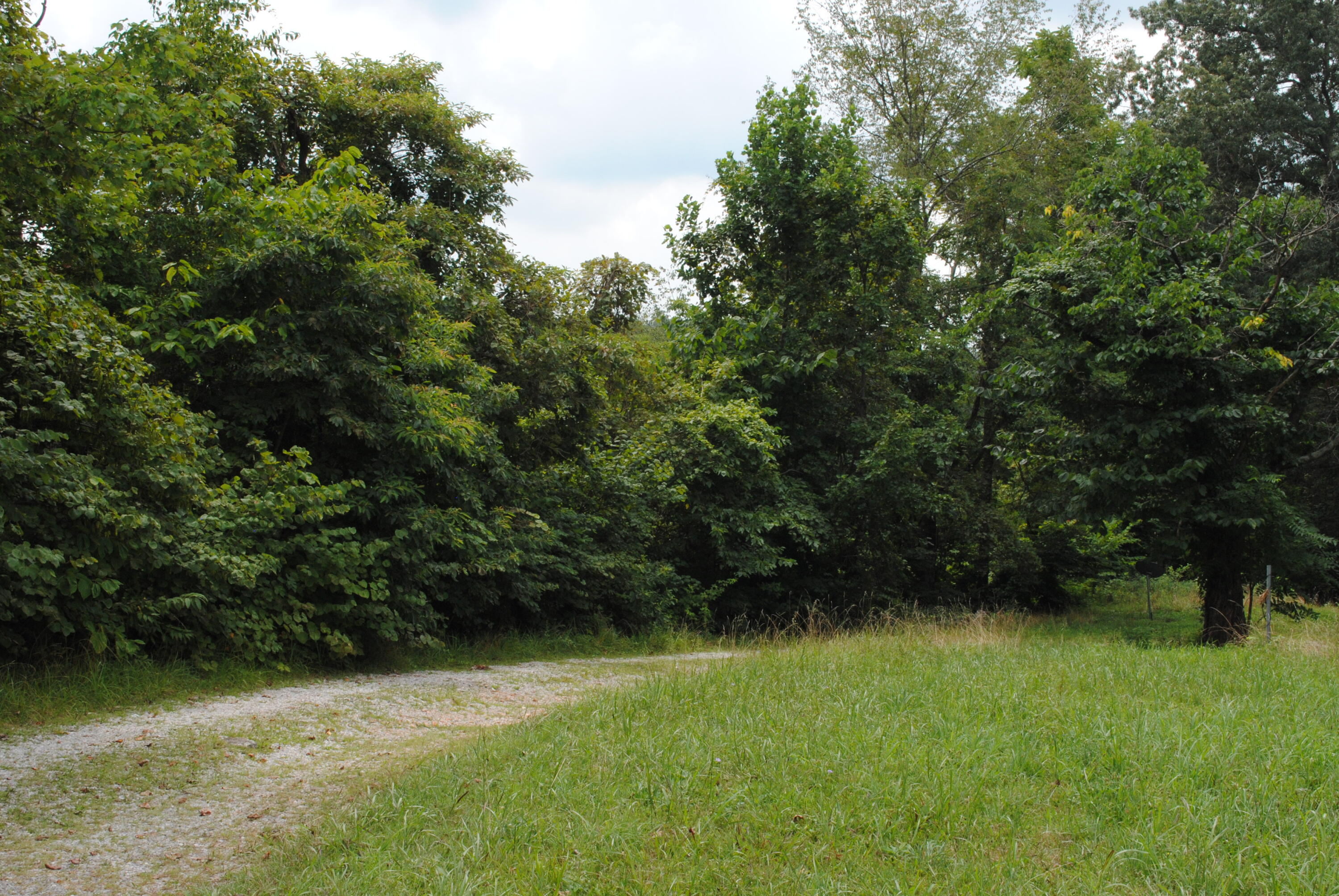 2150 Clear Fork Road Eubank, KY 42567 - Photo 3 of 3 DSC_2268