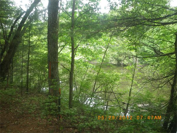 398 River Road Uxbridge, MA 01569 - Photo 9 of 9 Gallery Image 9