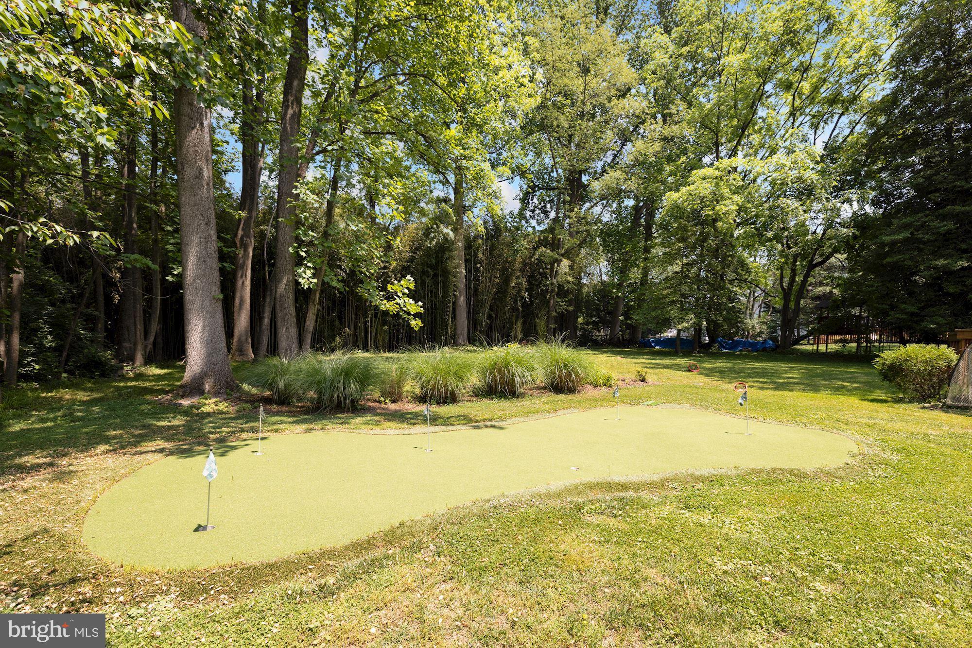 2649 Five Oaks Road Vienna, VA 22181 - Photo 41 of 46 Putting Green
