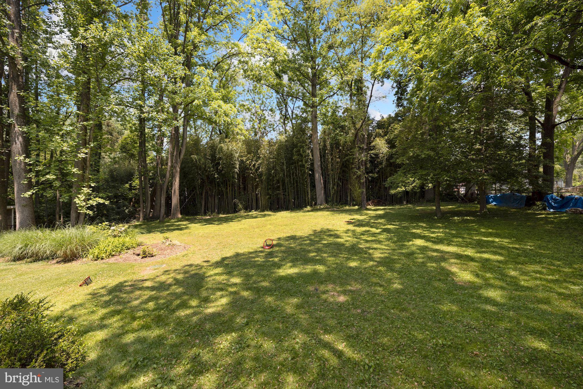2649 Five Oaks Road Vienna, VA 22181 - Photo 42 of 46 Backyard