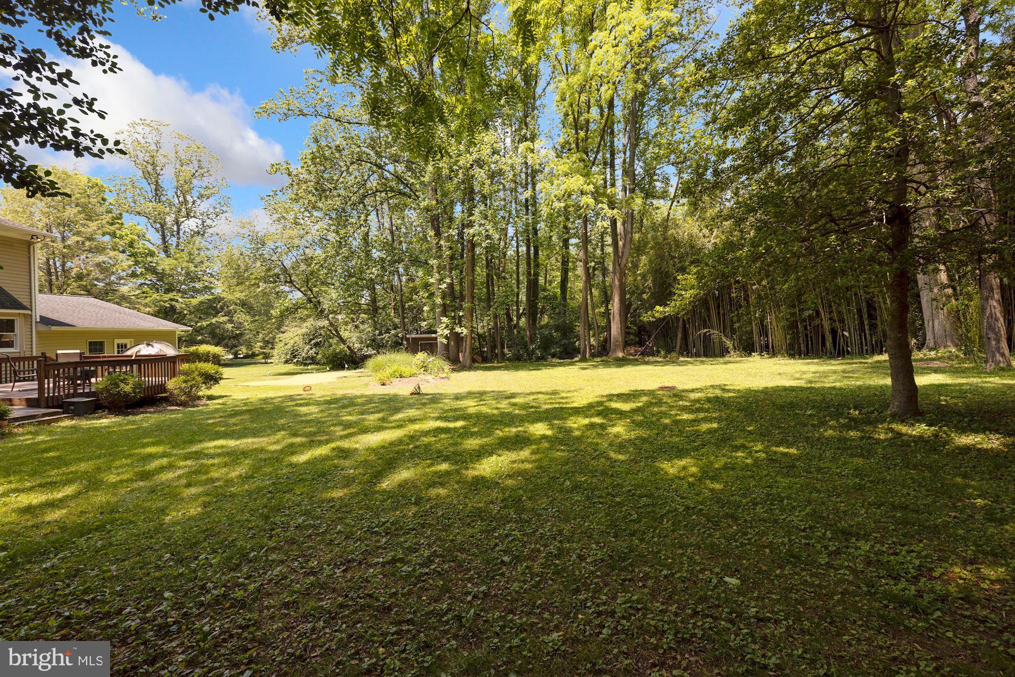 2649 Five Oaks Road Vienna, VA 22181 - Photo 43 of 46 Backyard