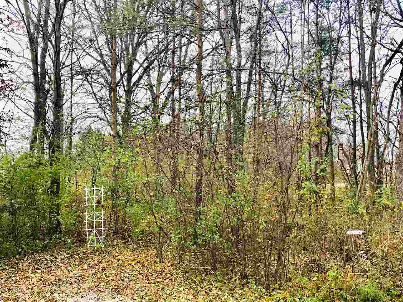 5400 East Coldwater Road Flint, MI 48506 - Photo 38 of 53 21529444-37.JPG