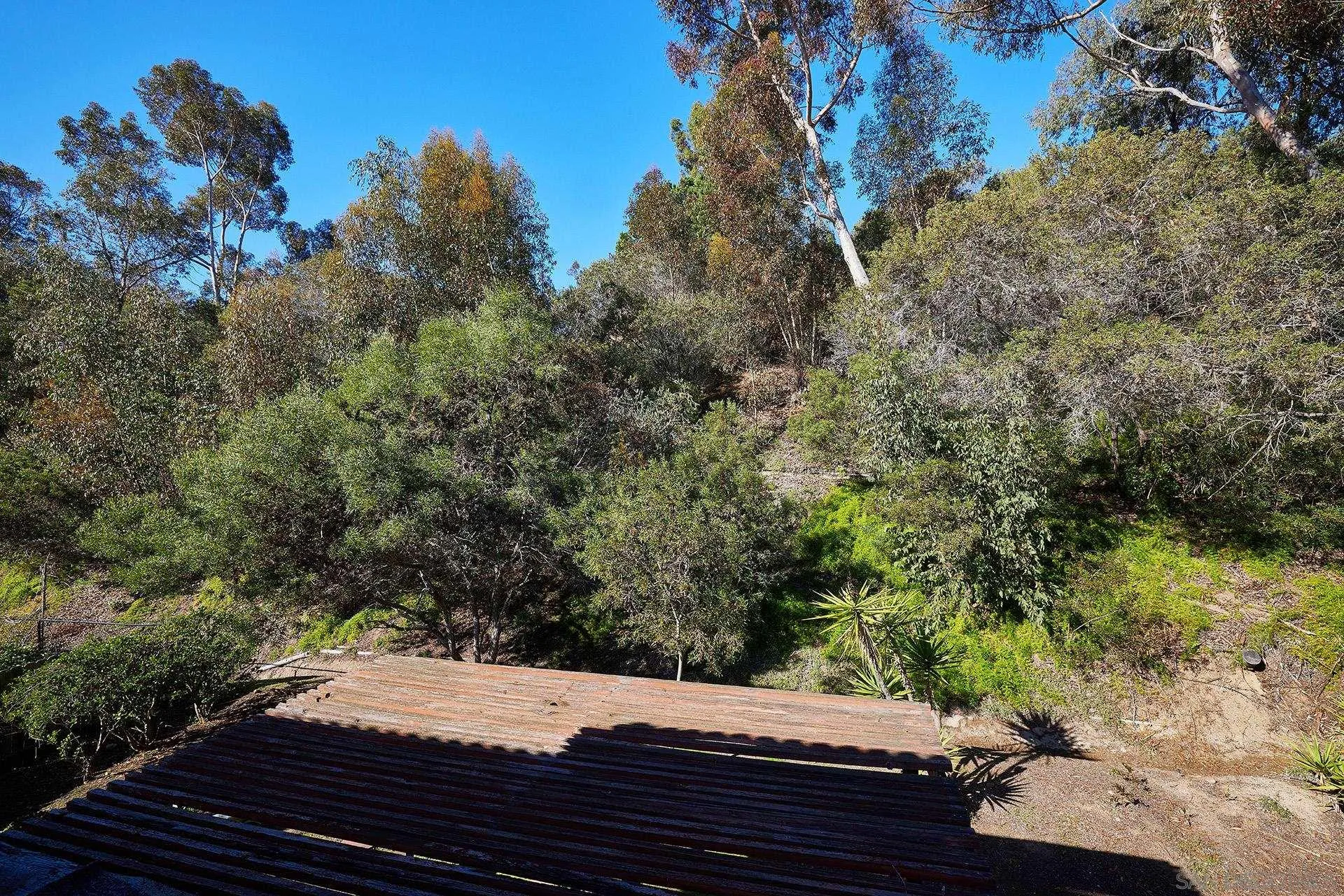 138 Townwood Way Encinitas, CA 92024 - Photo 22 of 48 a view of a backyard of a house