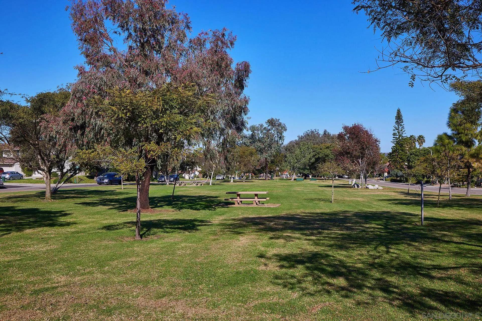 138 Townwood Way Encinitas, CA 92024 - Photo 47 of 48 a view of a park with large trees