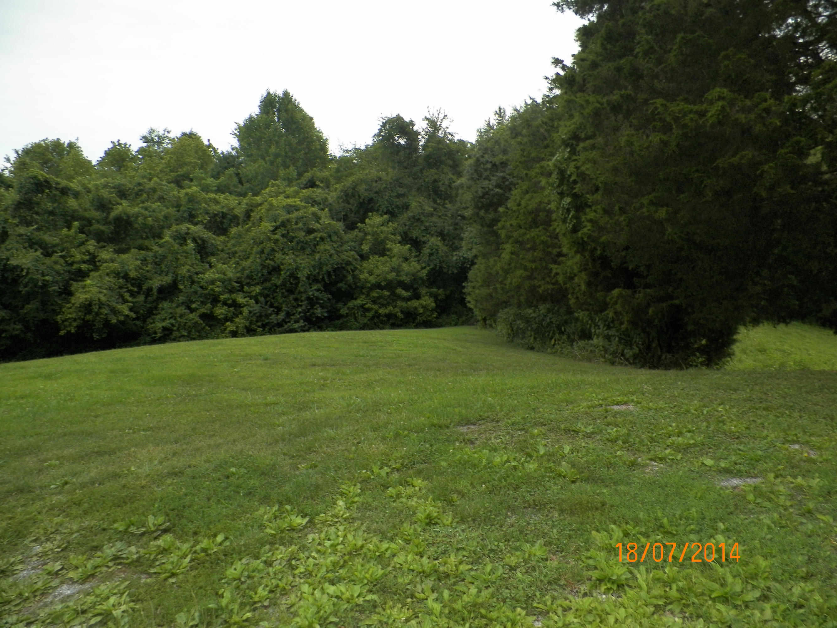 720 Peach Orchard Road Andersonville, TN 37705 - Photo 3 of 14 peach orchard 005