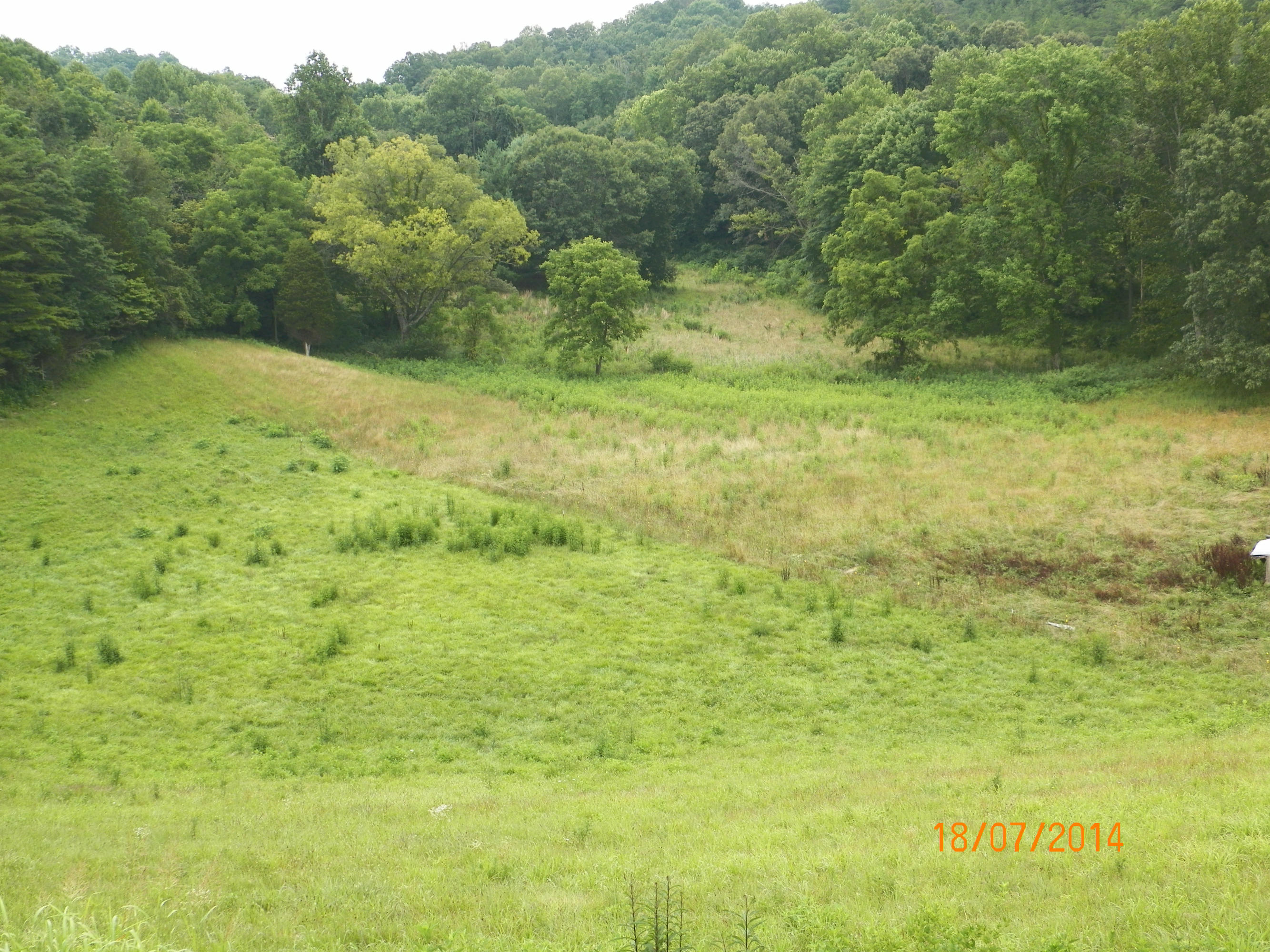 720 Peach Orchard Road Andersonville, TN 37705 - Photo 4 of 14 peach orchard 006