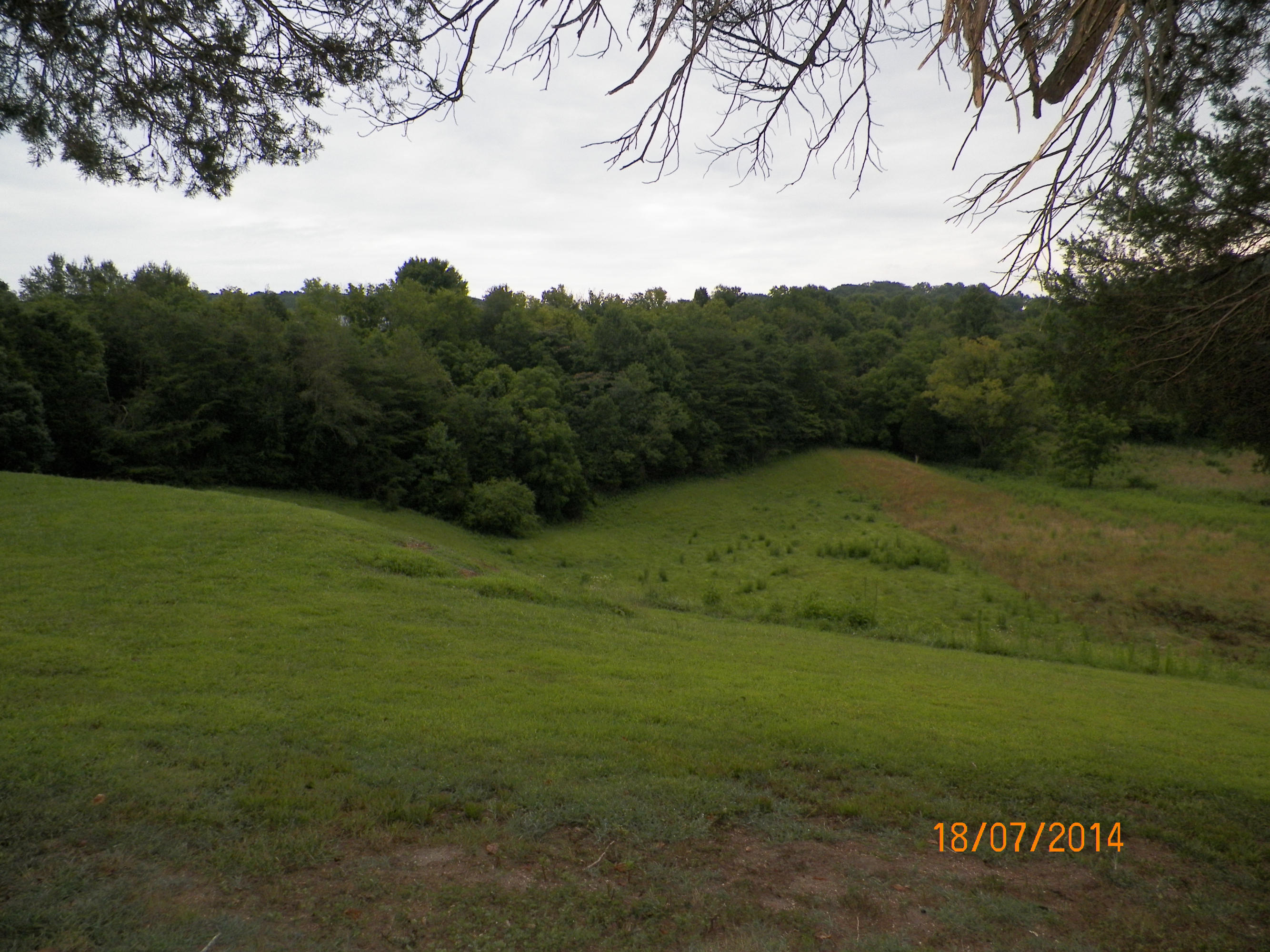 720 Peach Orchard Road Andersonville, TN 37705 - Photo 5 of 14 peach orchard 007
