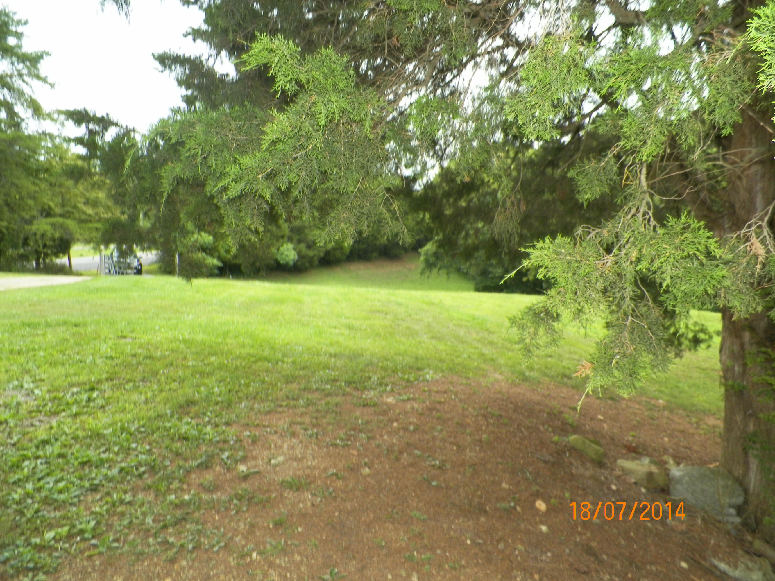 720 Peach Orchard Road Andersonville, TN 37705 - Photo 6 of 14 peach orchard 008