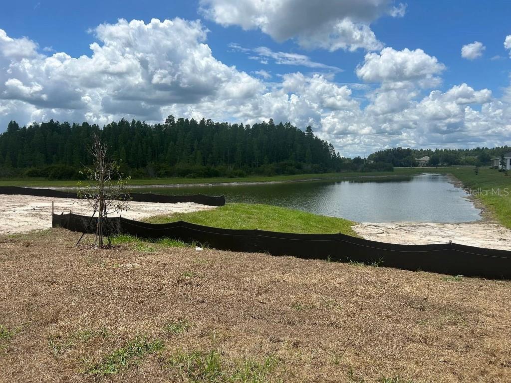 32226 Eldorado Cyn Loop Wesley Chapel, FL 33543 - Photo 3 of 18 a view of a lake