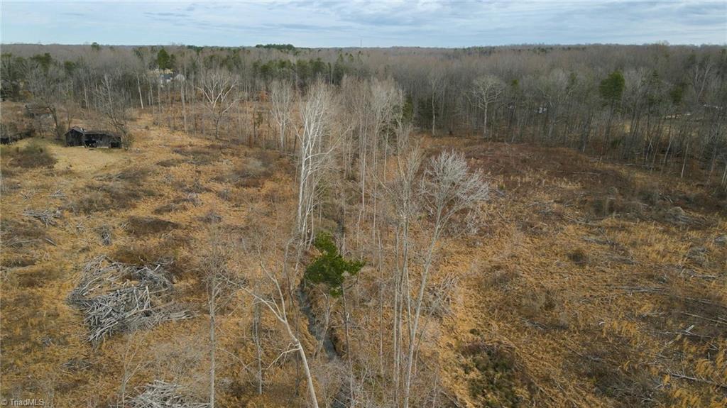 220 Dunn Road Gibsonville, NC 27249 - Photo 12 of 17