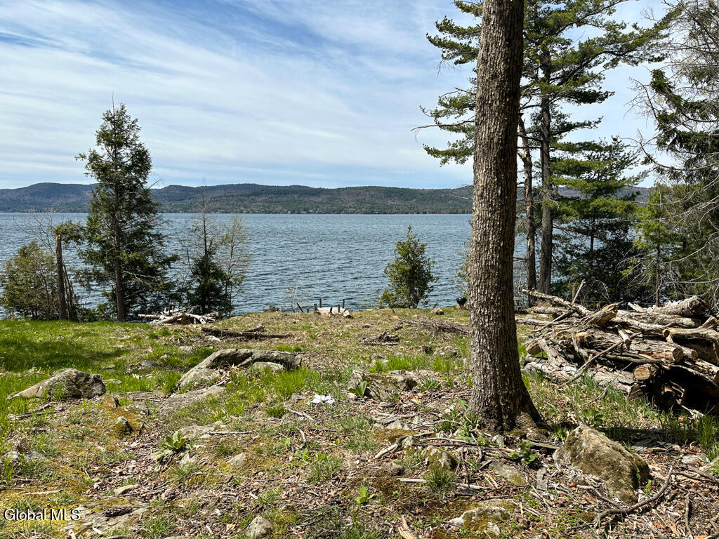 1777 Pilot Knob Road Kattskill Bay, NY 12844 - Photo 14 of 16 IMG_7164