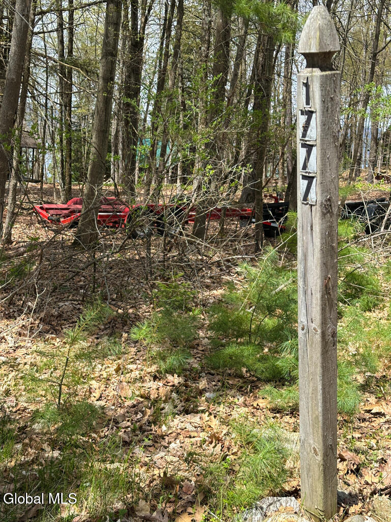 1777 Pilot Knob Road Kattskill Bay, NY 12844 - Photo 15 of 16 IMG_7166