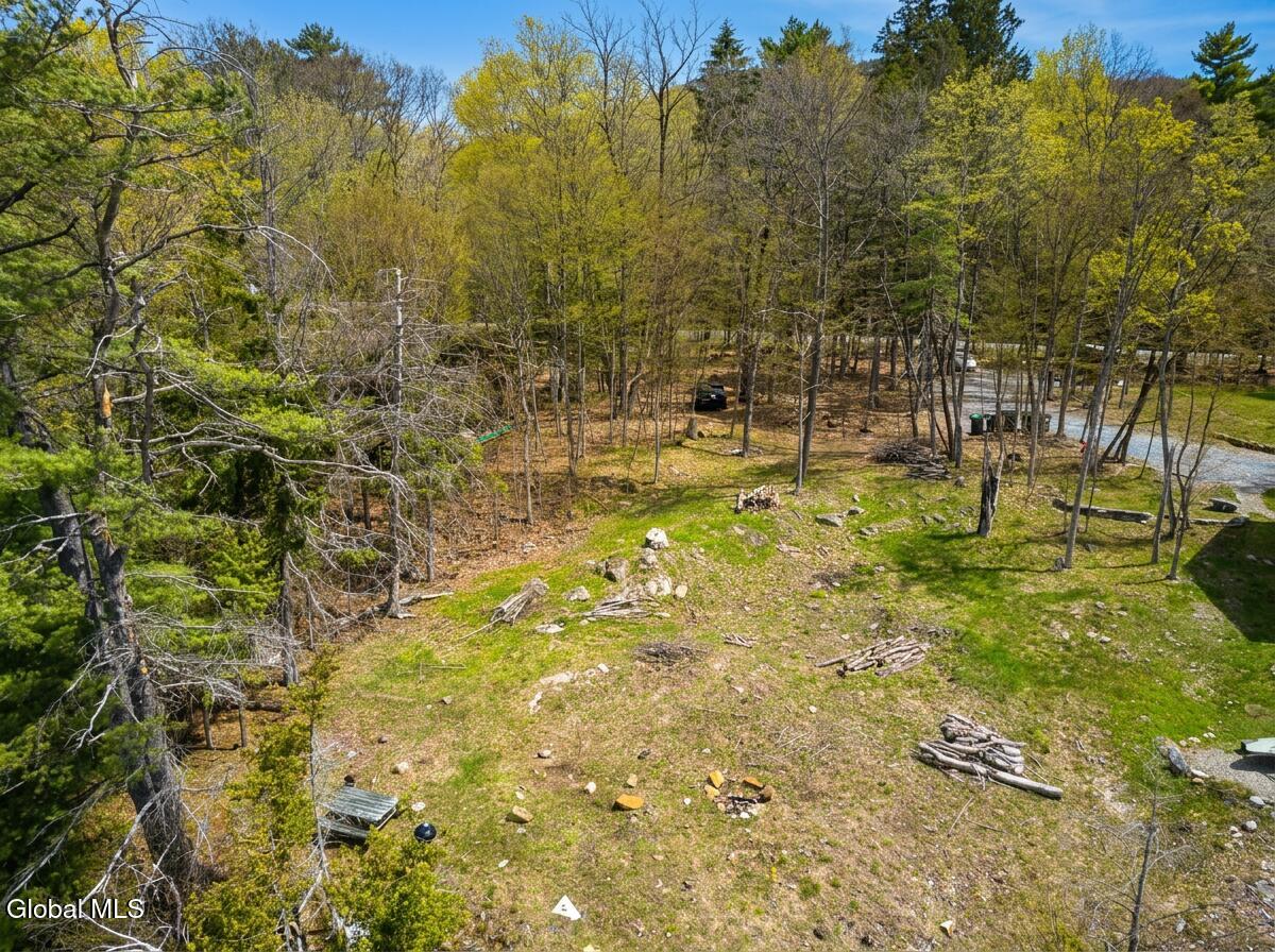 1777 Pilot Knob Road Kattskill Bay, NY 12844 - Photo 3 of 16 3