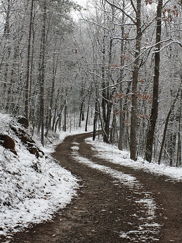 Undisclosed Address Blairsville, GA 30512 - Photo 11 of 52 Gentle drive from gate to house