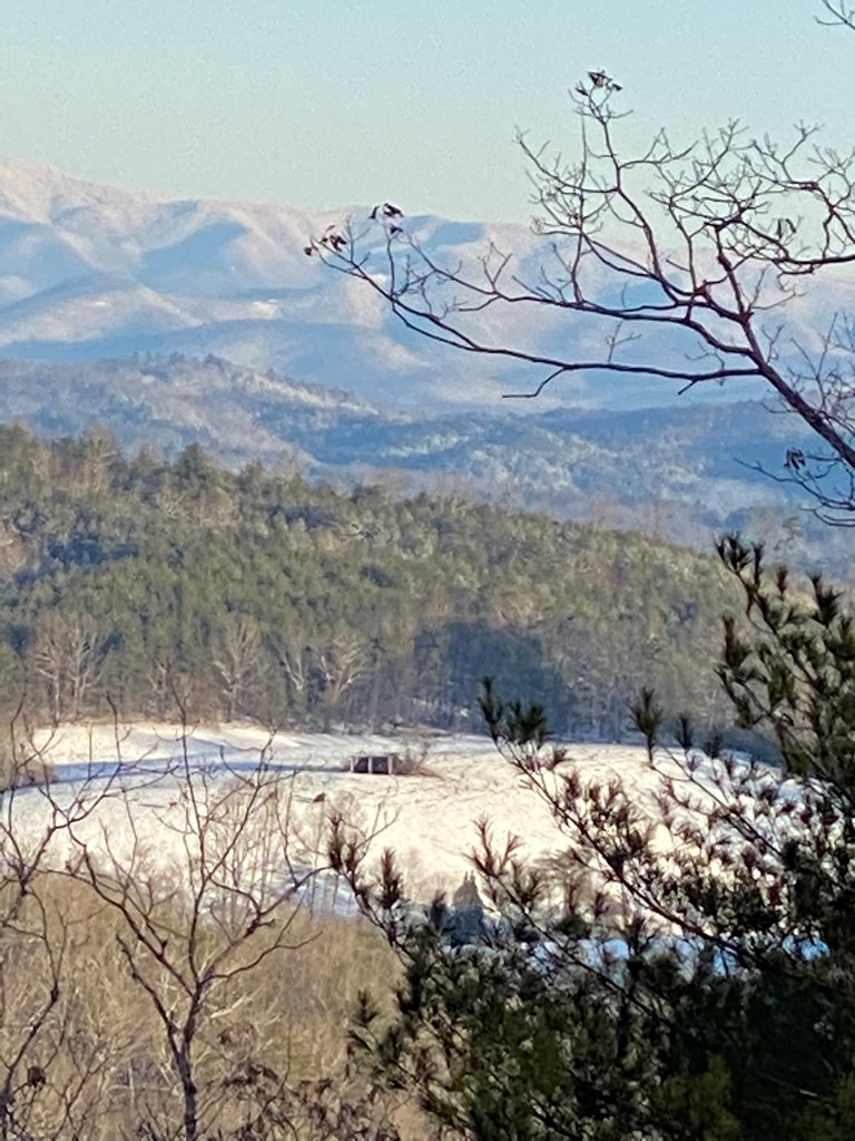 Undisclosed Address Blairsville, GA 30512 - Photo 12 of 52 Winter view