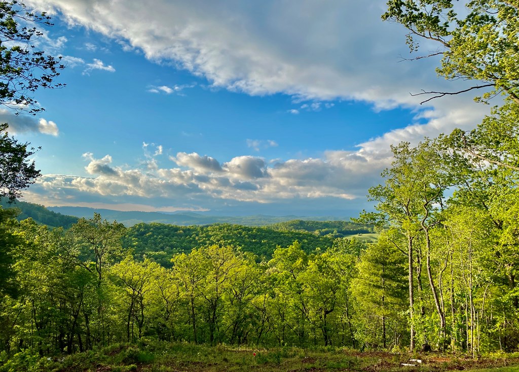 Undisclosed Address Blairsville, GA 30512 - Photo 3 of 52