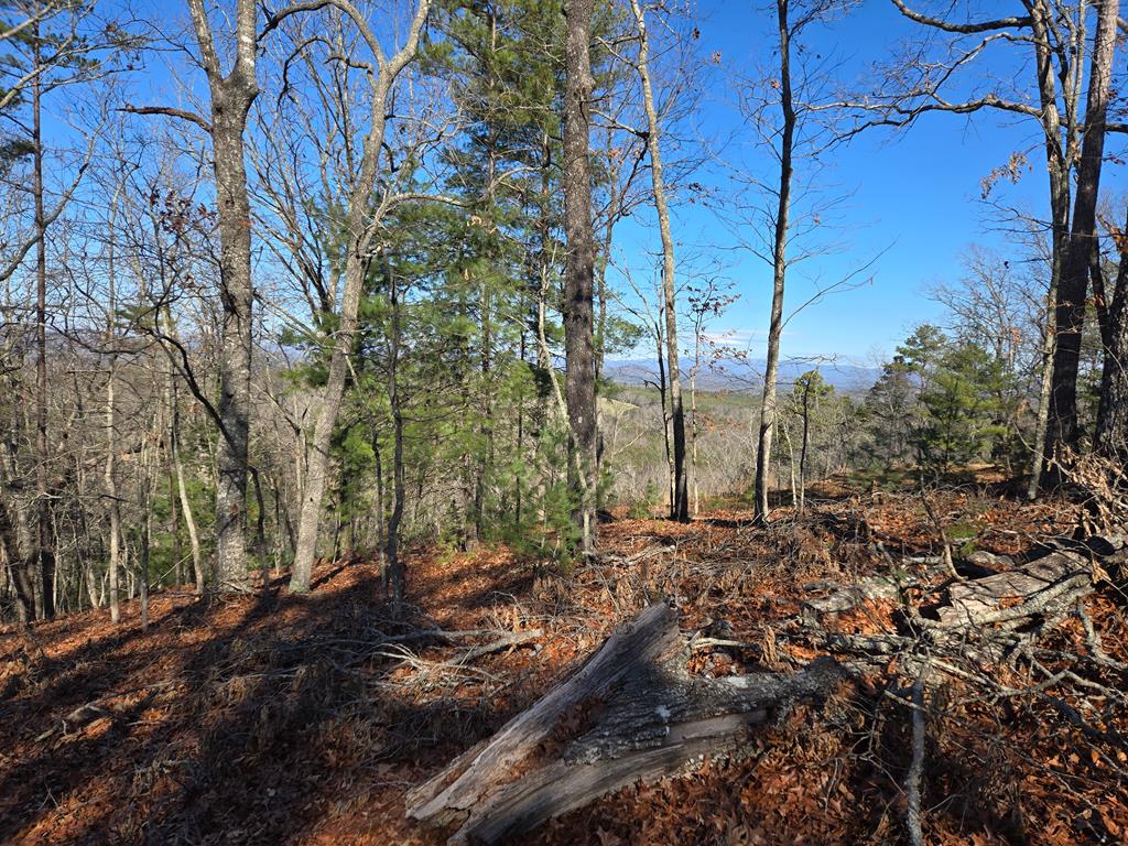 Undisclosed Address Blairsville, GA 30512 - Photo 39 of 52 Additional build sites with views