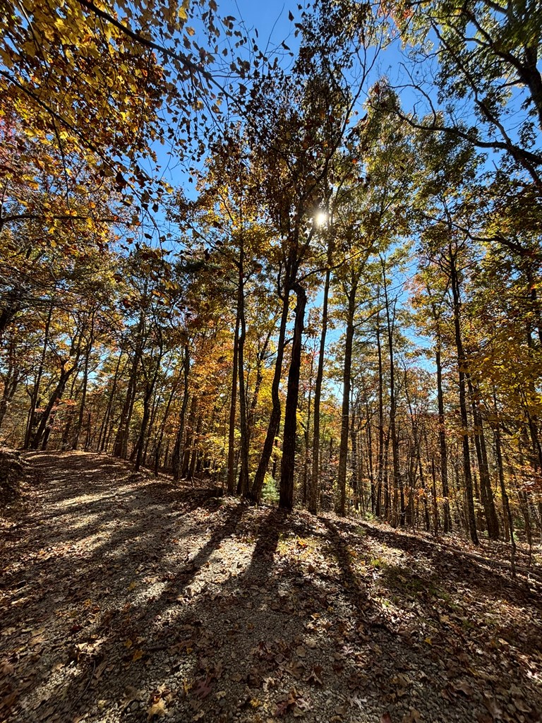 Undisclosed Address Blairsville, GA 30512 - Photo 40 of 52 Additional building site with views